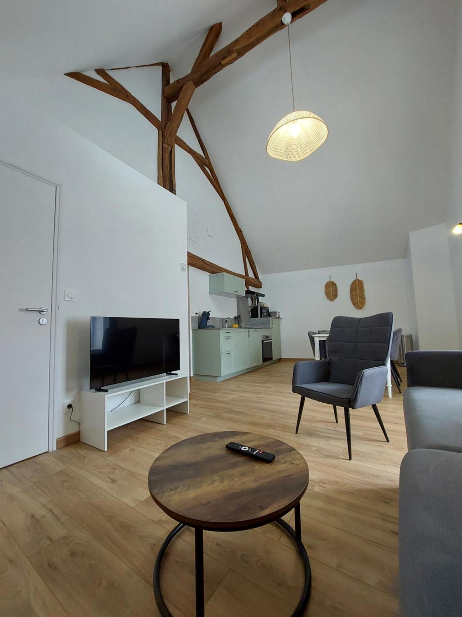 Appartements L'Hirondelle Beaugency Exterior photo